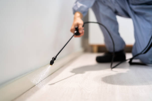 Bed Bug Pre-Treatment Preparation Assessment in Ashburn
