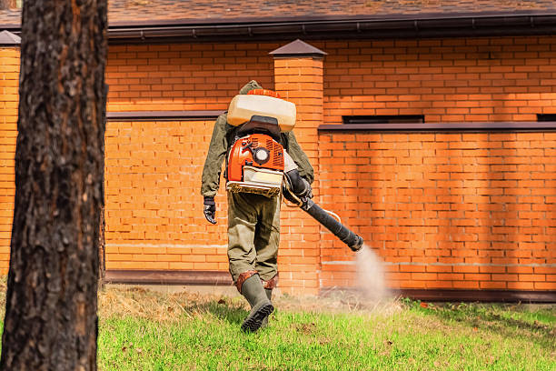 Bed Bug Clearance Verification and Documentation in Ashburn